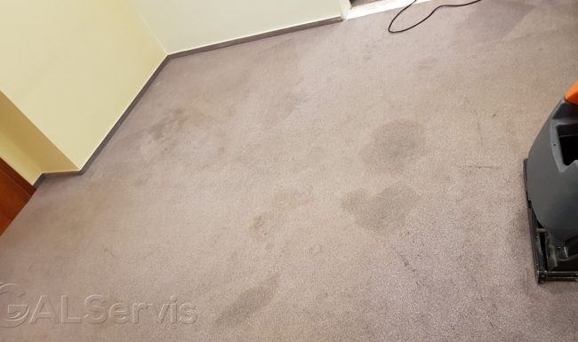 Profesionálne tepovanie kancelárií